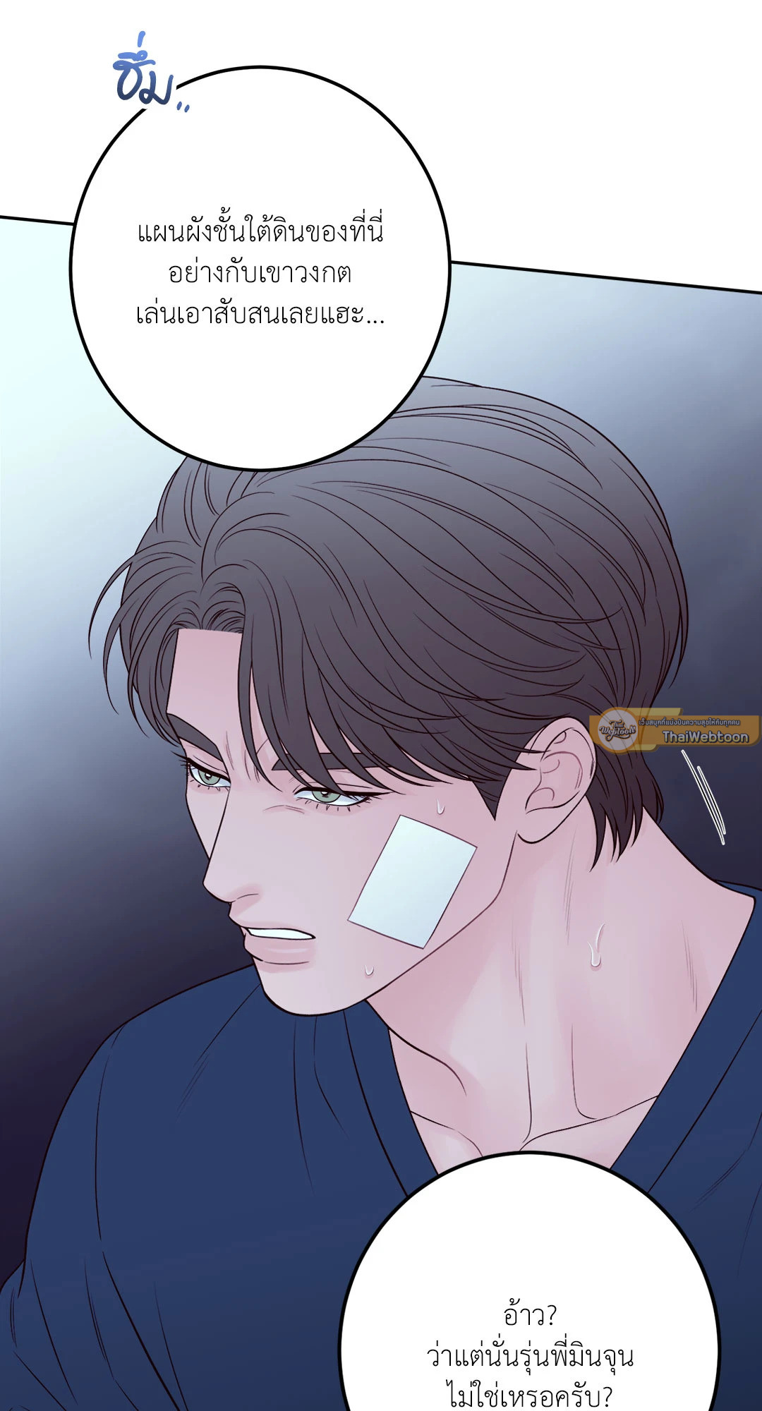 หน้า 30