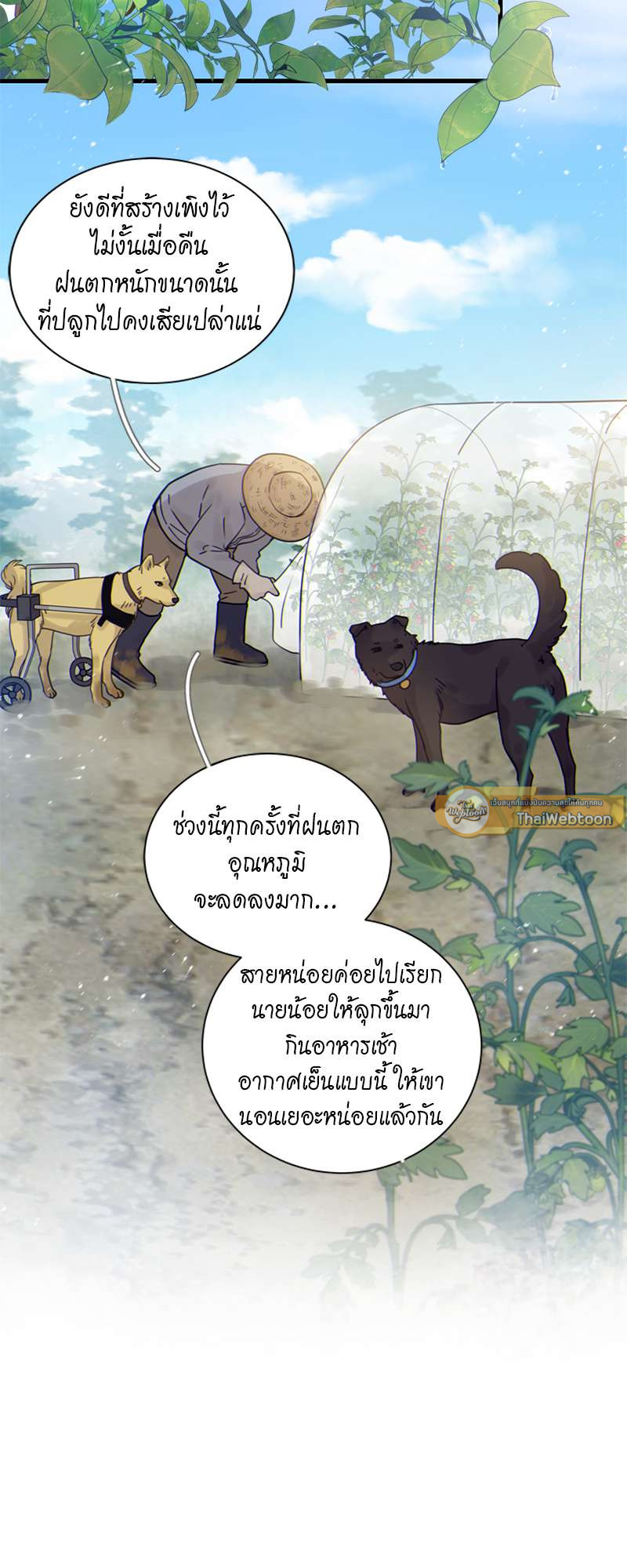 หน้า 25