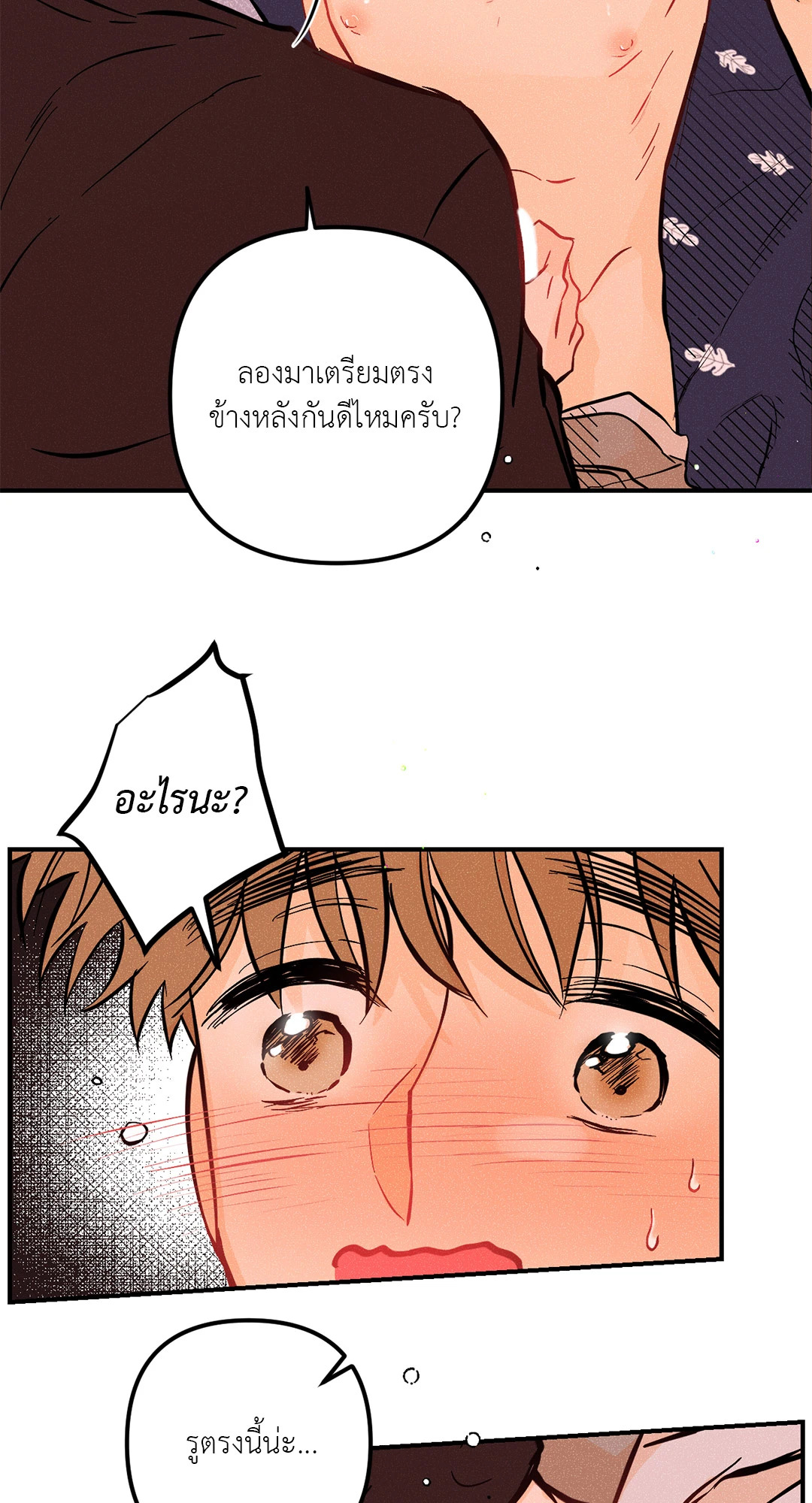 หน้า 41