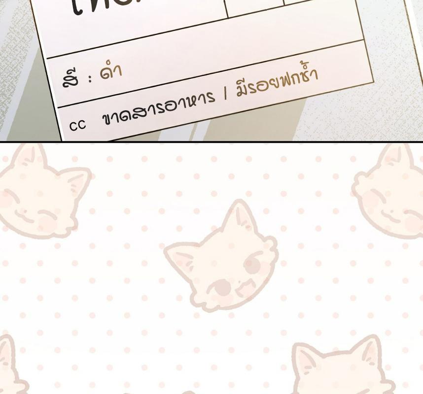 หน้า 116