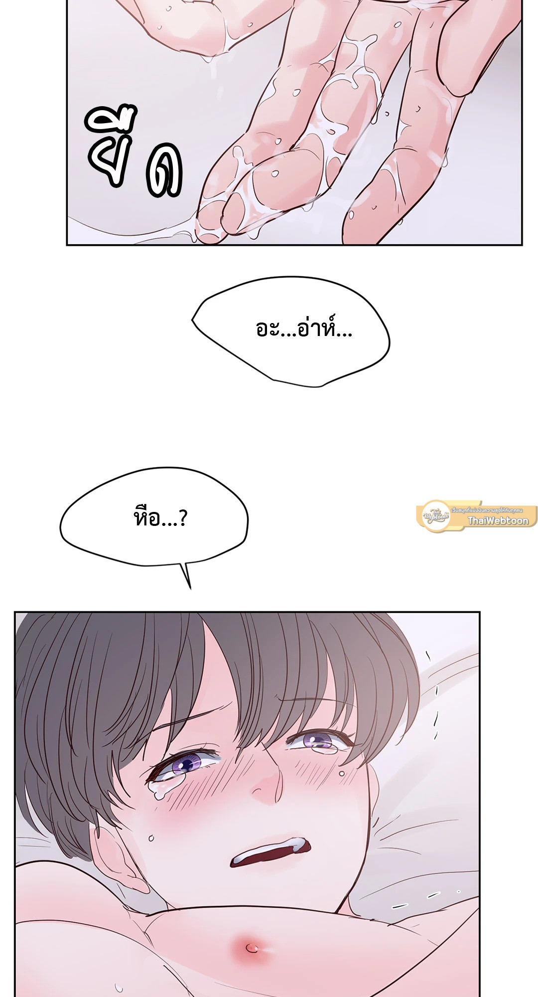 หน้า 31