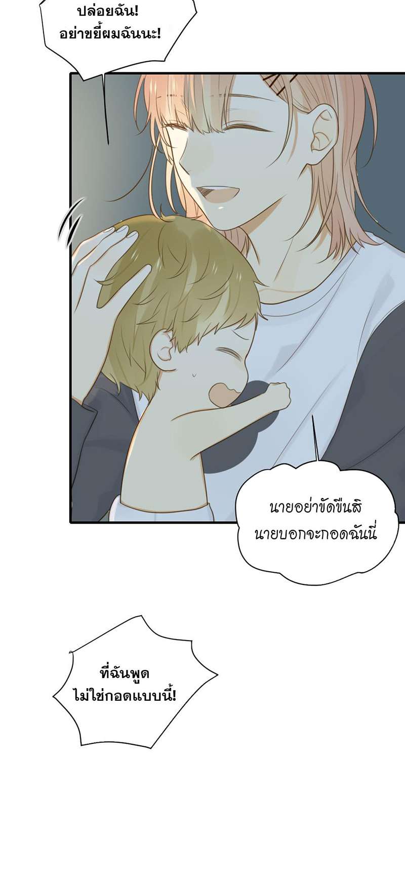 หน้า 29
