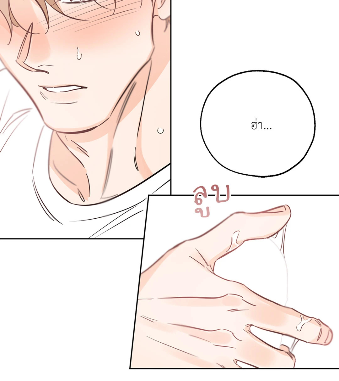 หน้า 44