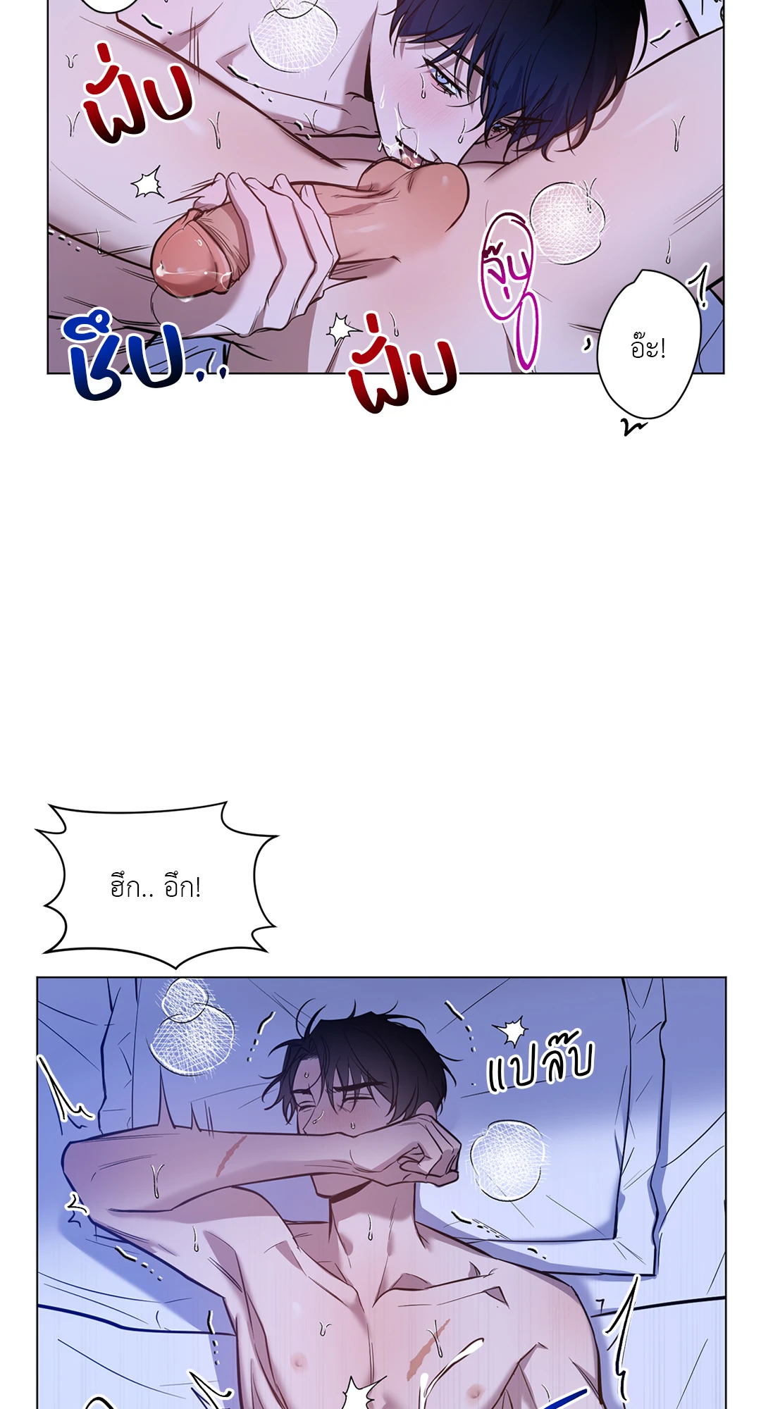 หน้า 43