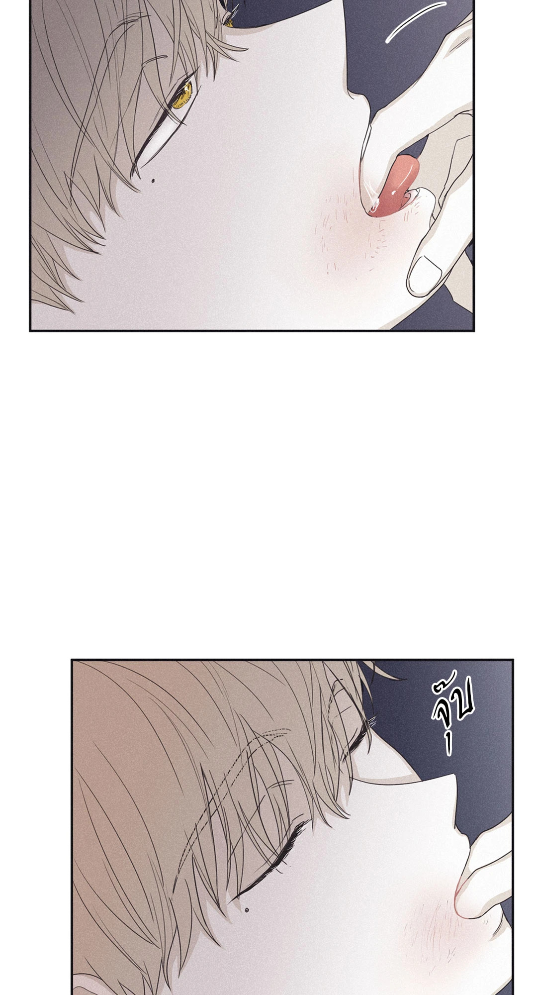 หน้า 42