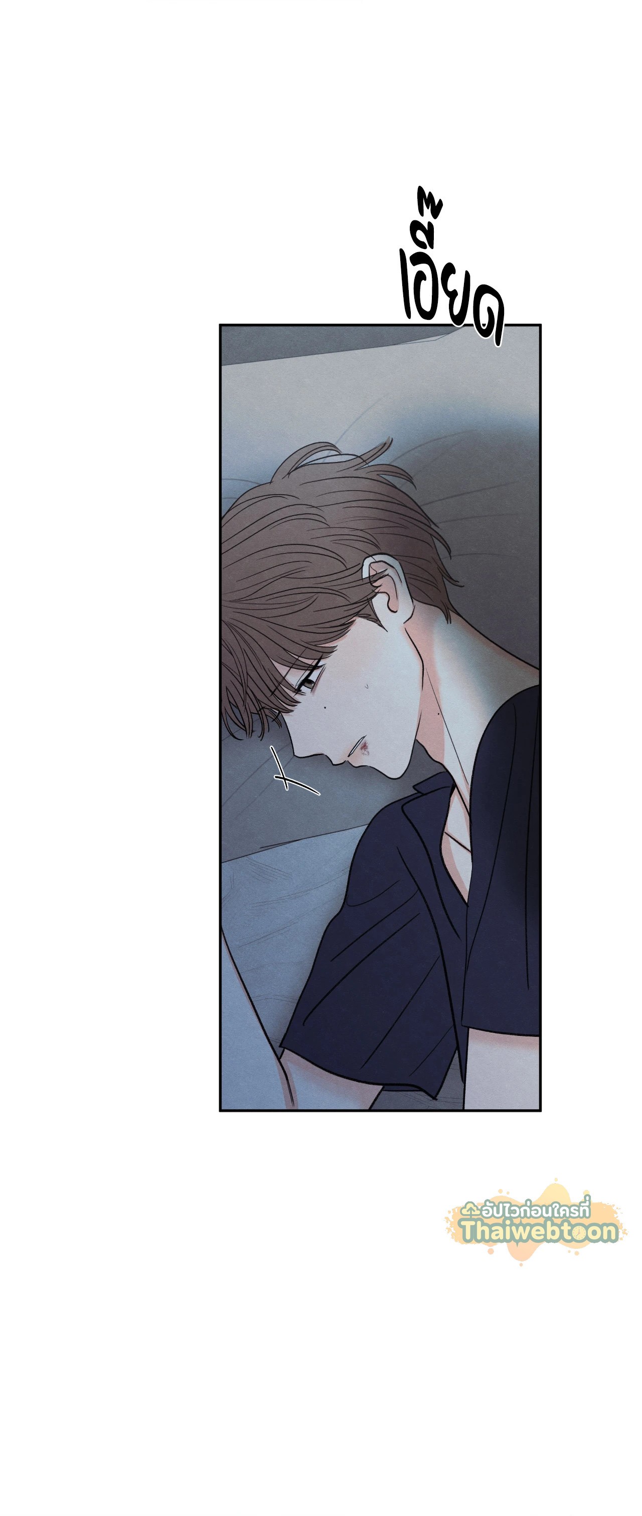 หน้า 43