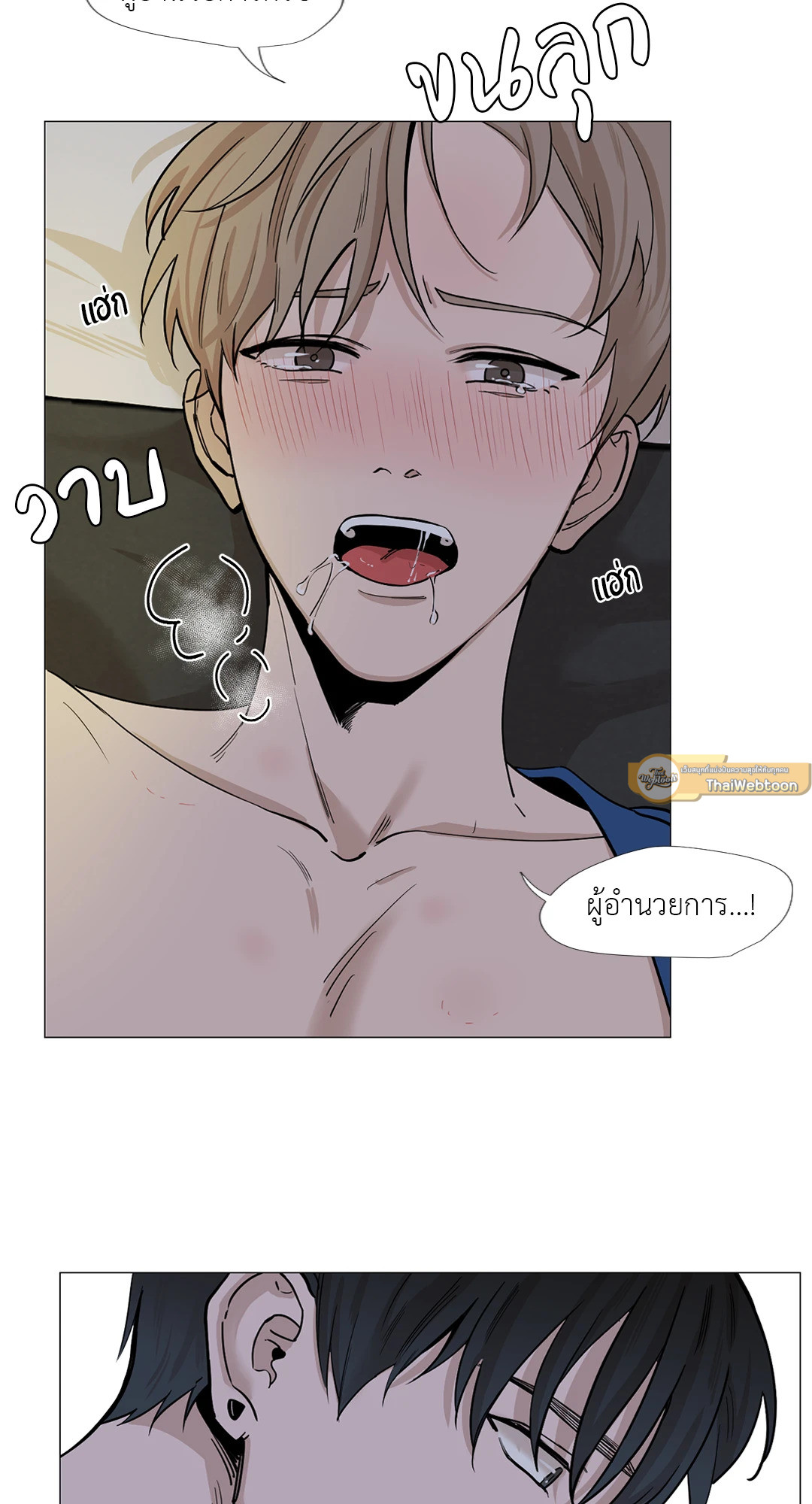 หน้า 43