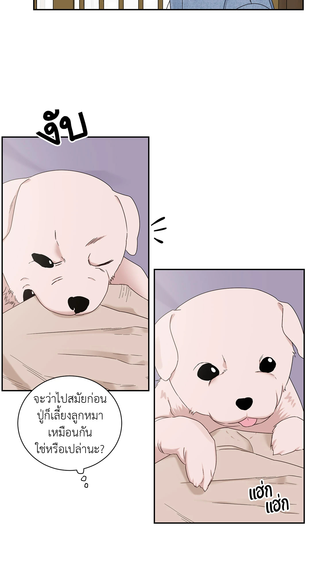 หน้า 43