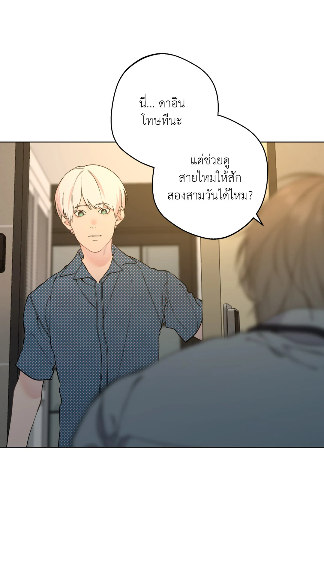 หน้า 46