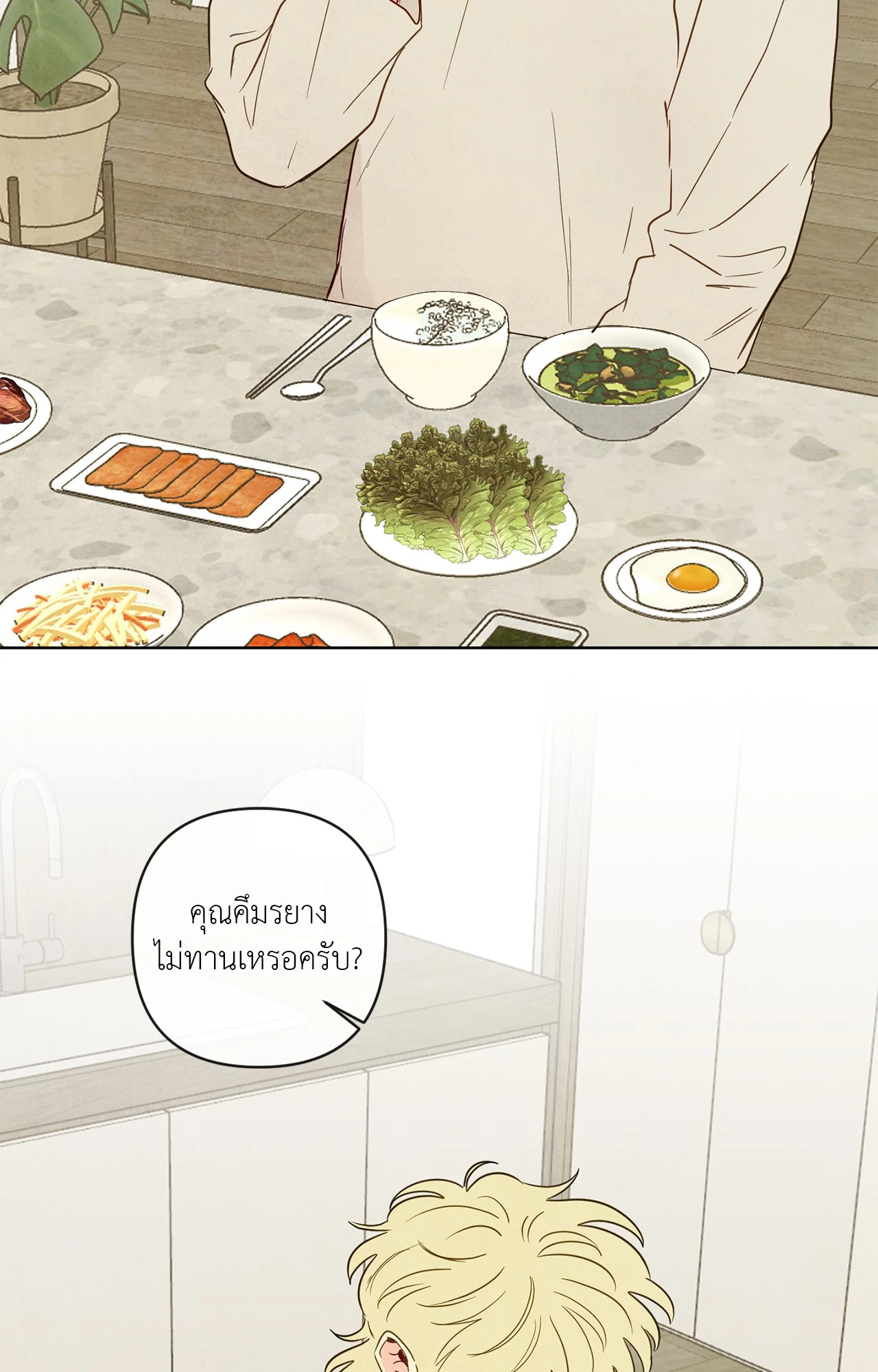 หน้า 48