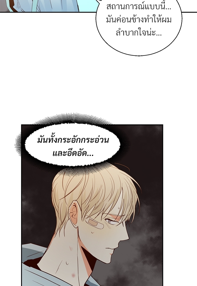 หน้า 51