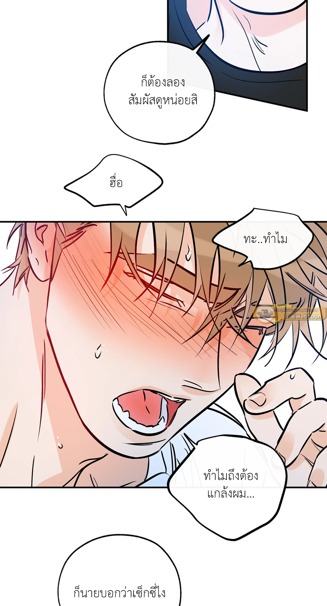 หน้า 30