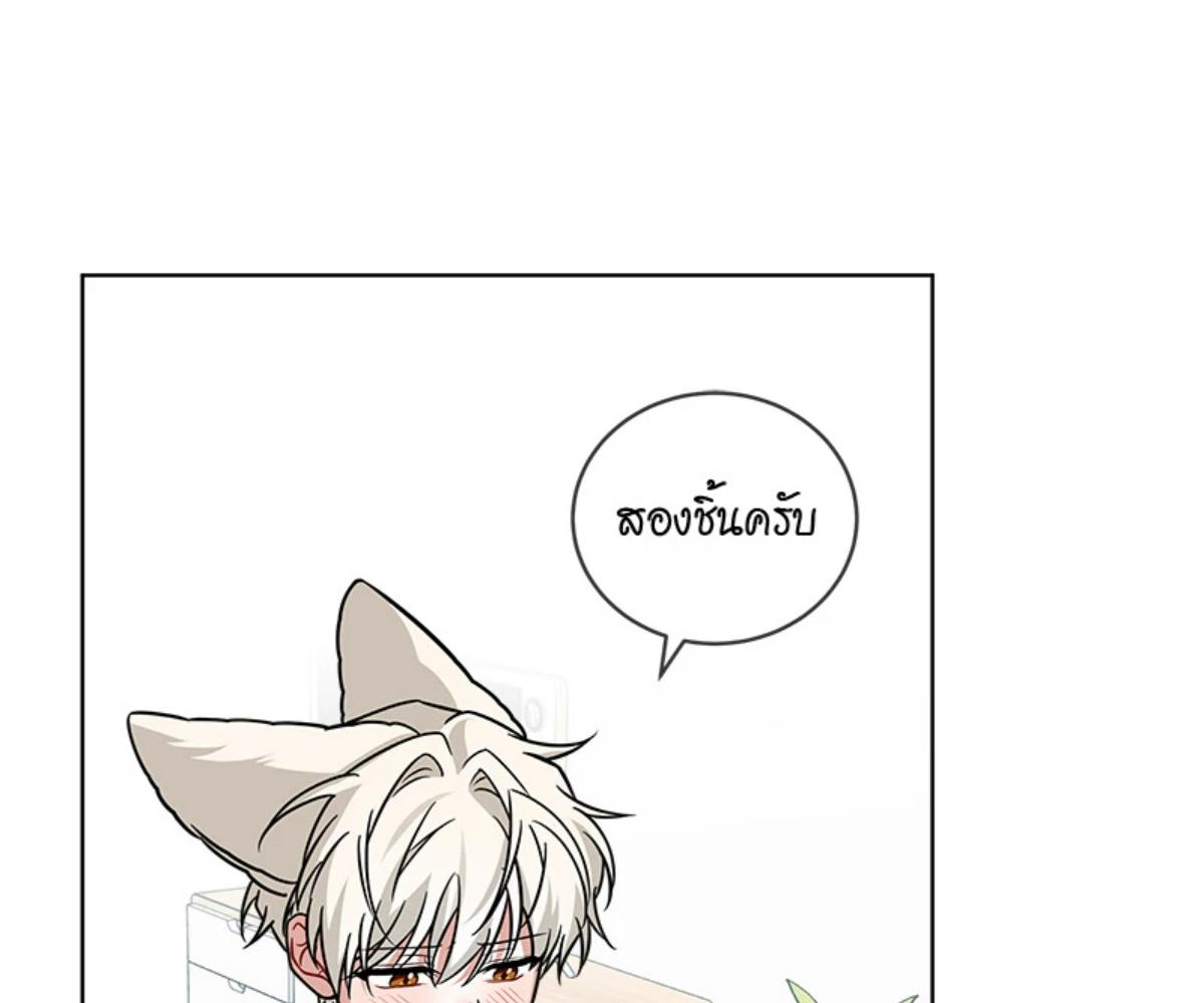 หน้า 161