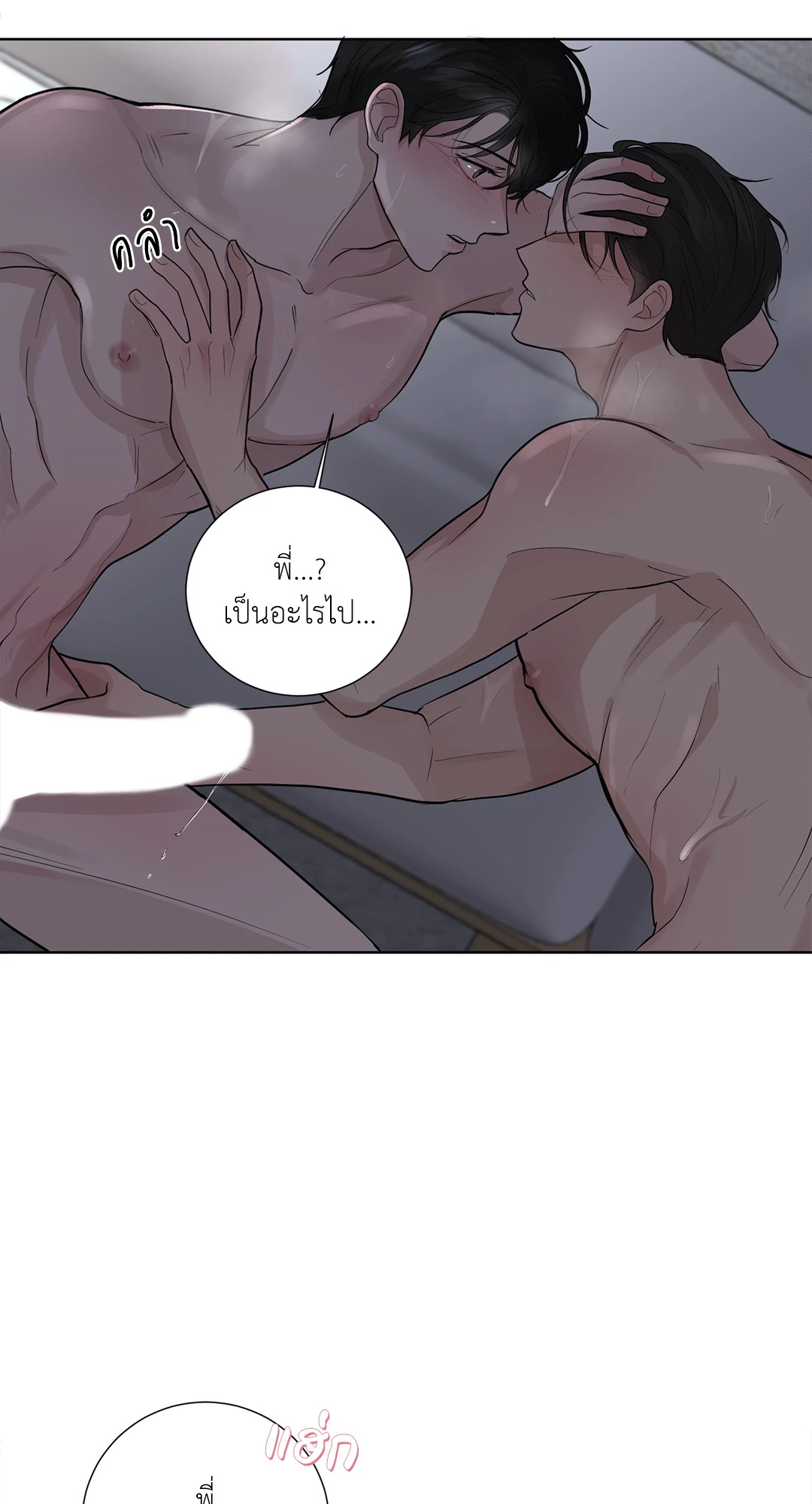 หน้า 43