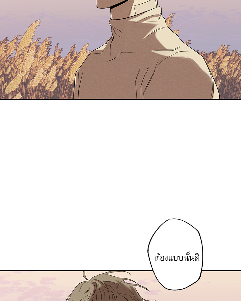 หน้า 102