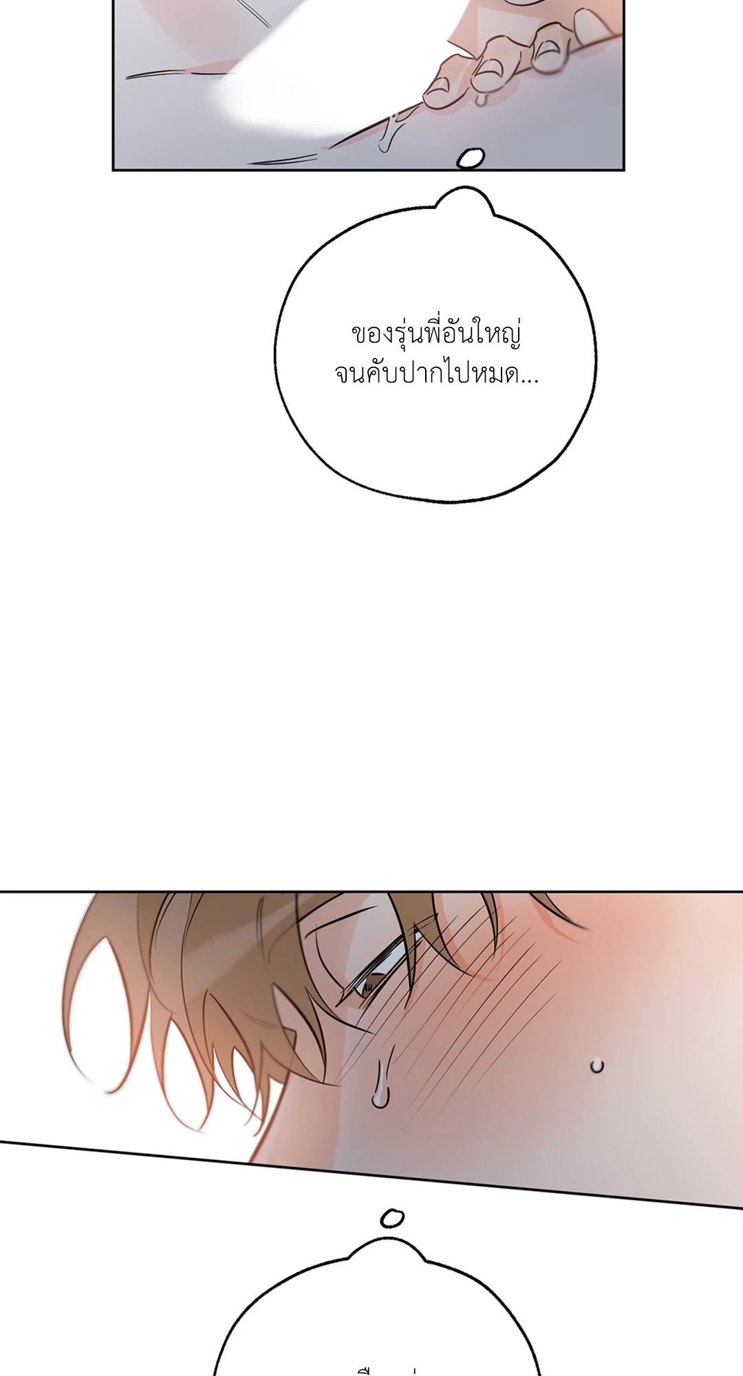 หน้า 43