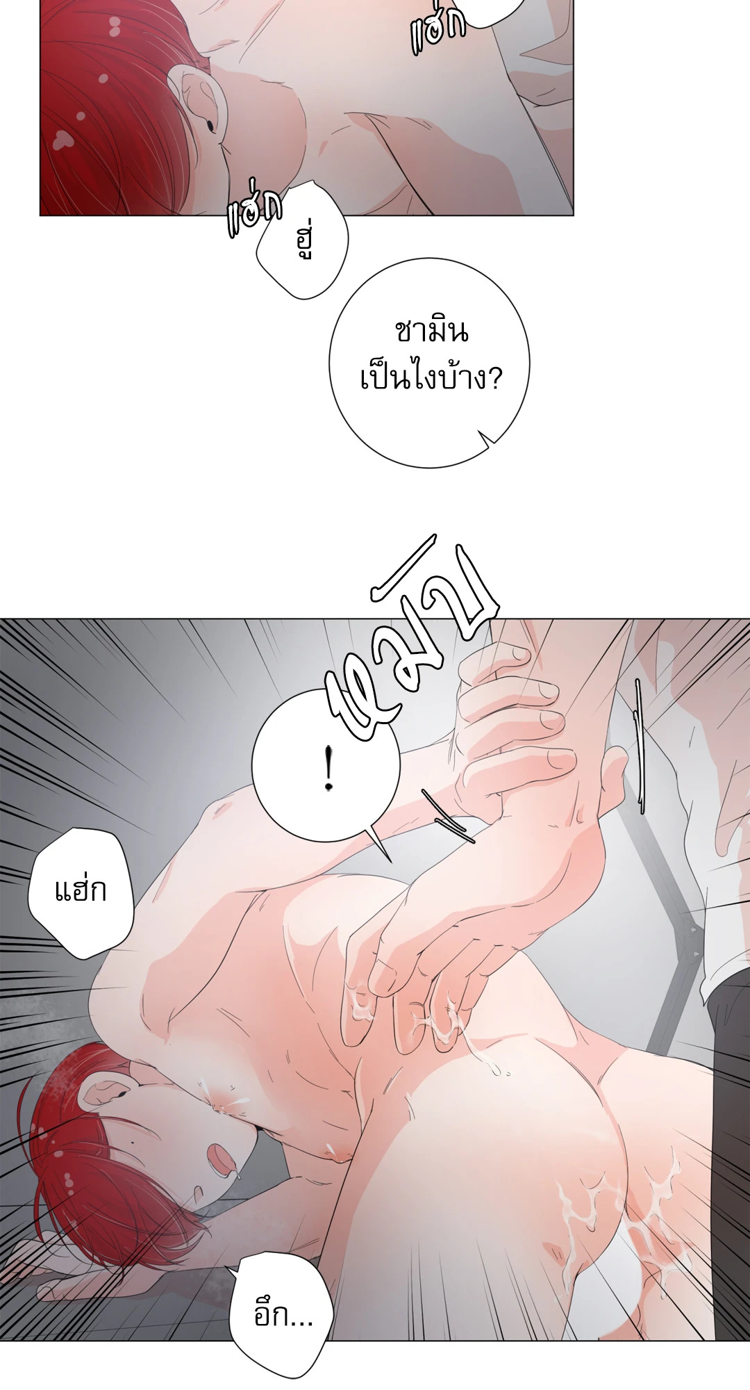 หน้า 41
