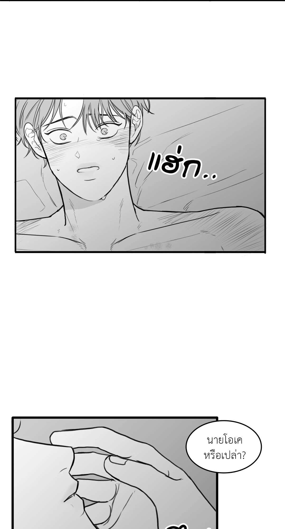 หน้า 29