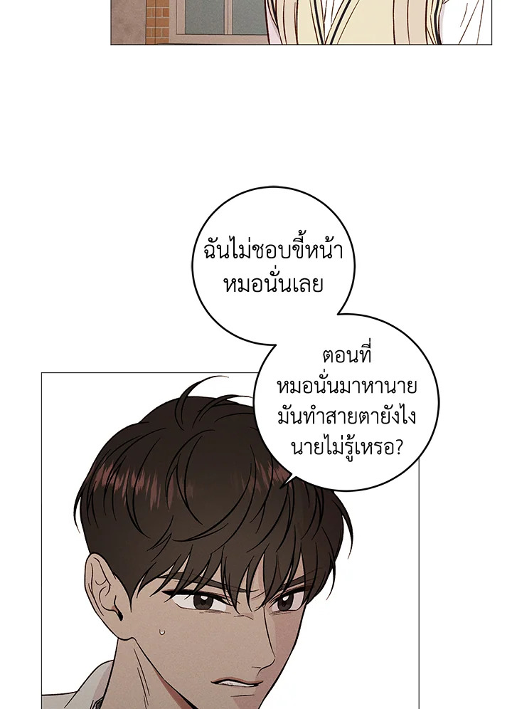 หน้า 43