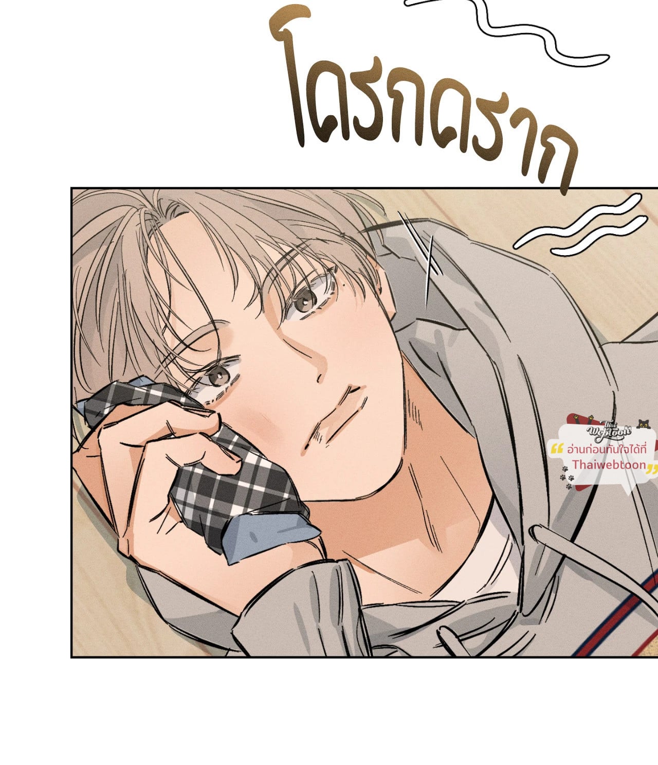 หน้า 29