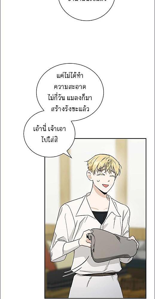 หน้า 228
