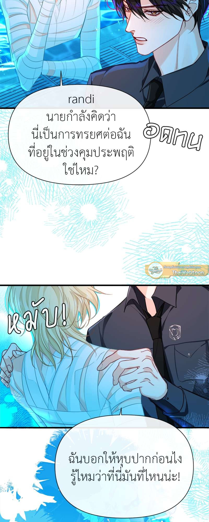 หน้า 17