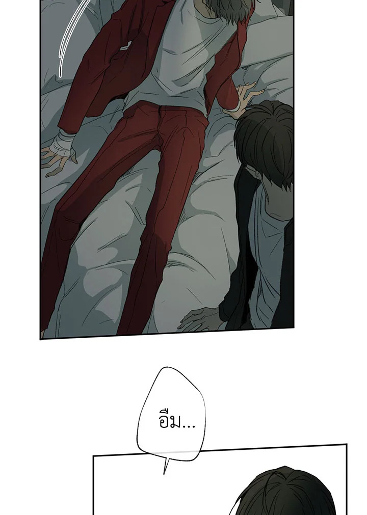 หน้า 48