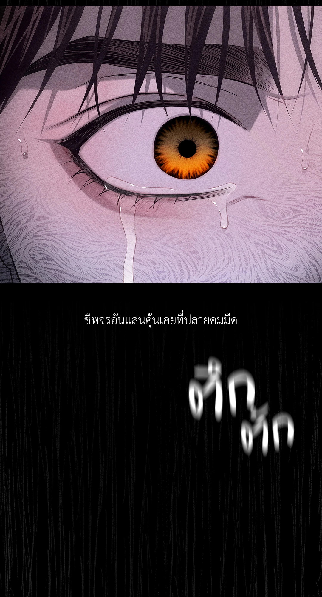 หน้า 106