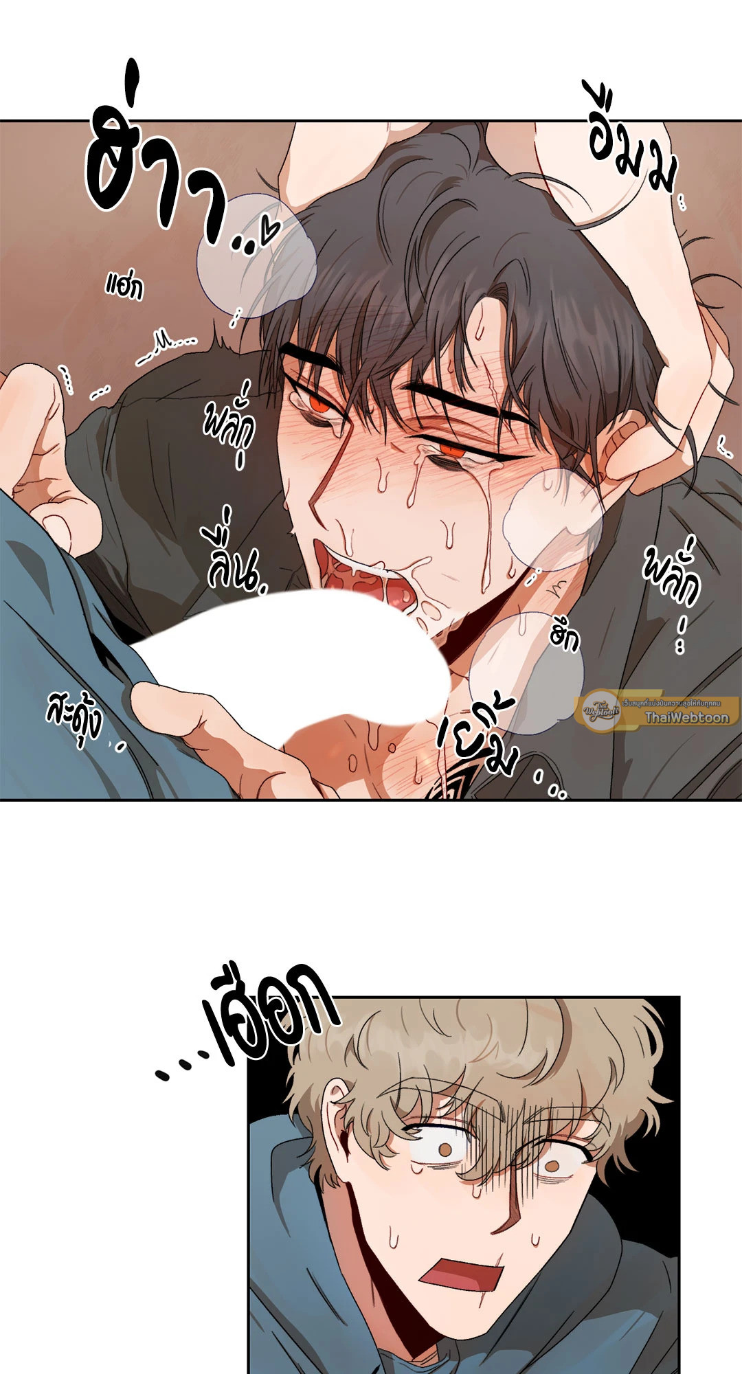 หน้า 29