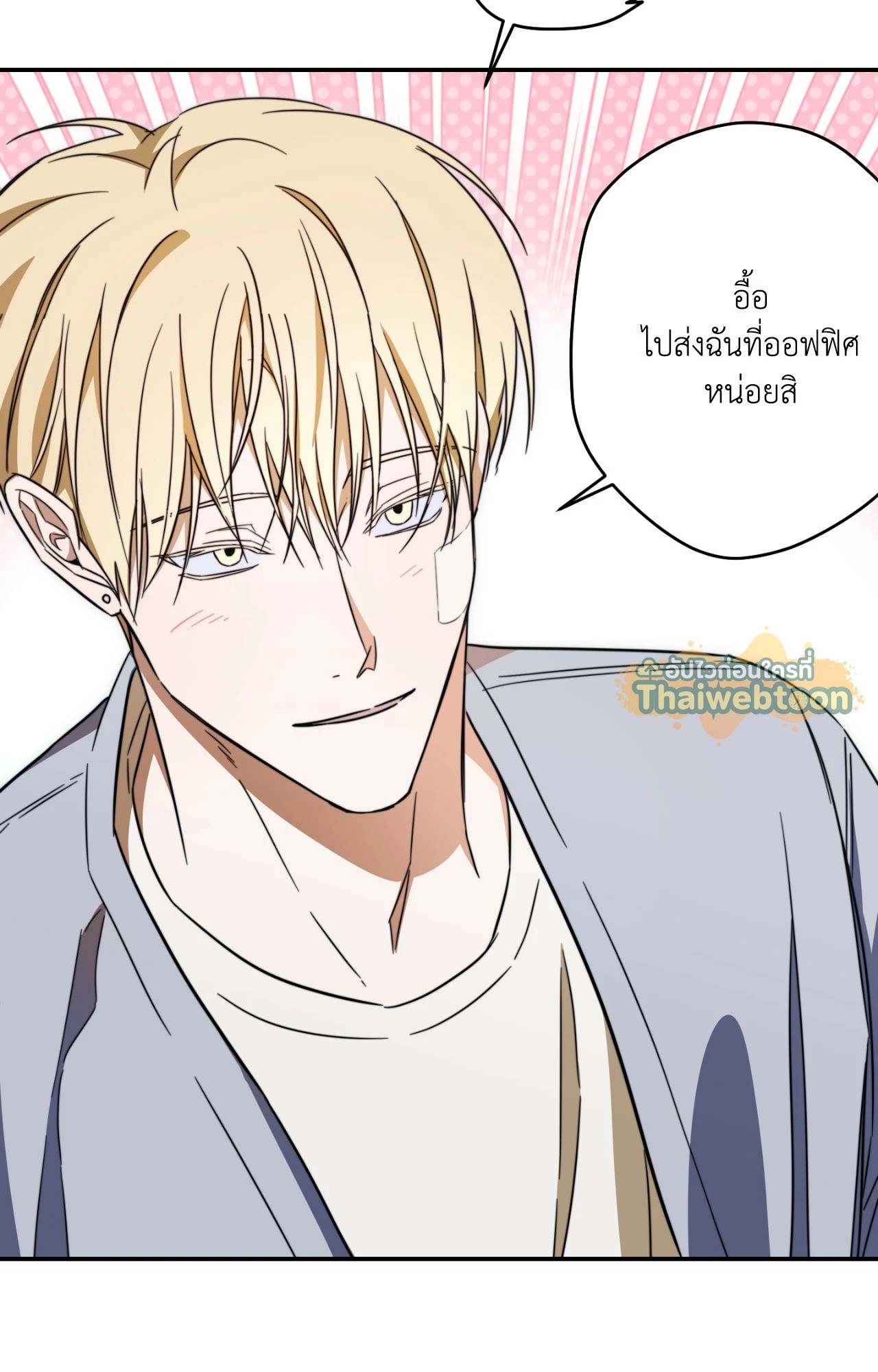 หน้า 29
