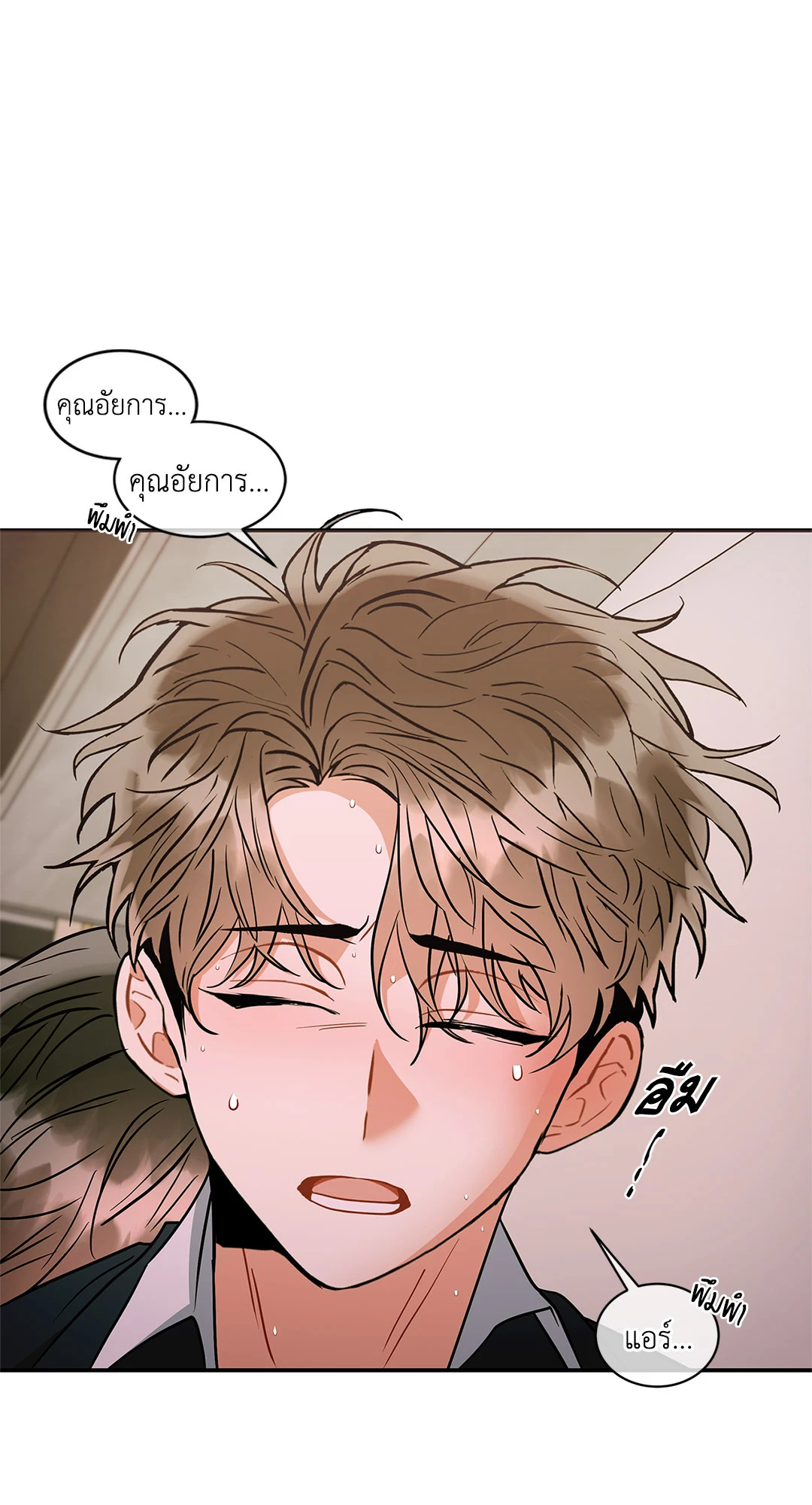 หน้า 33