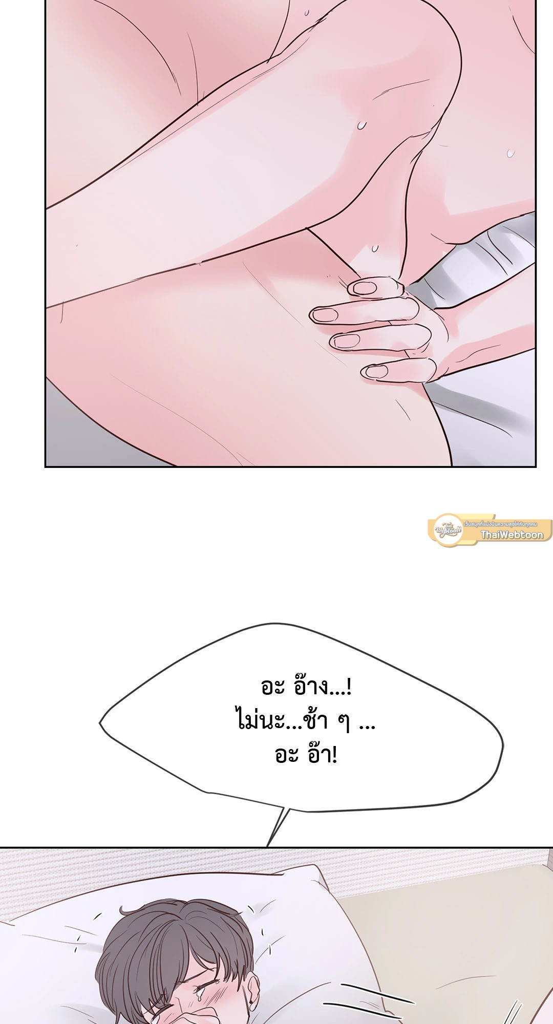 หน้า 51