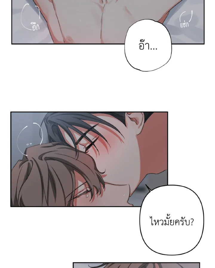 หน้า 42