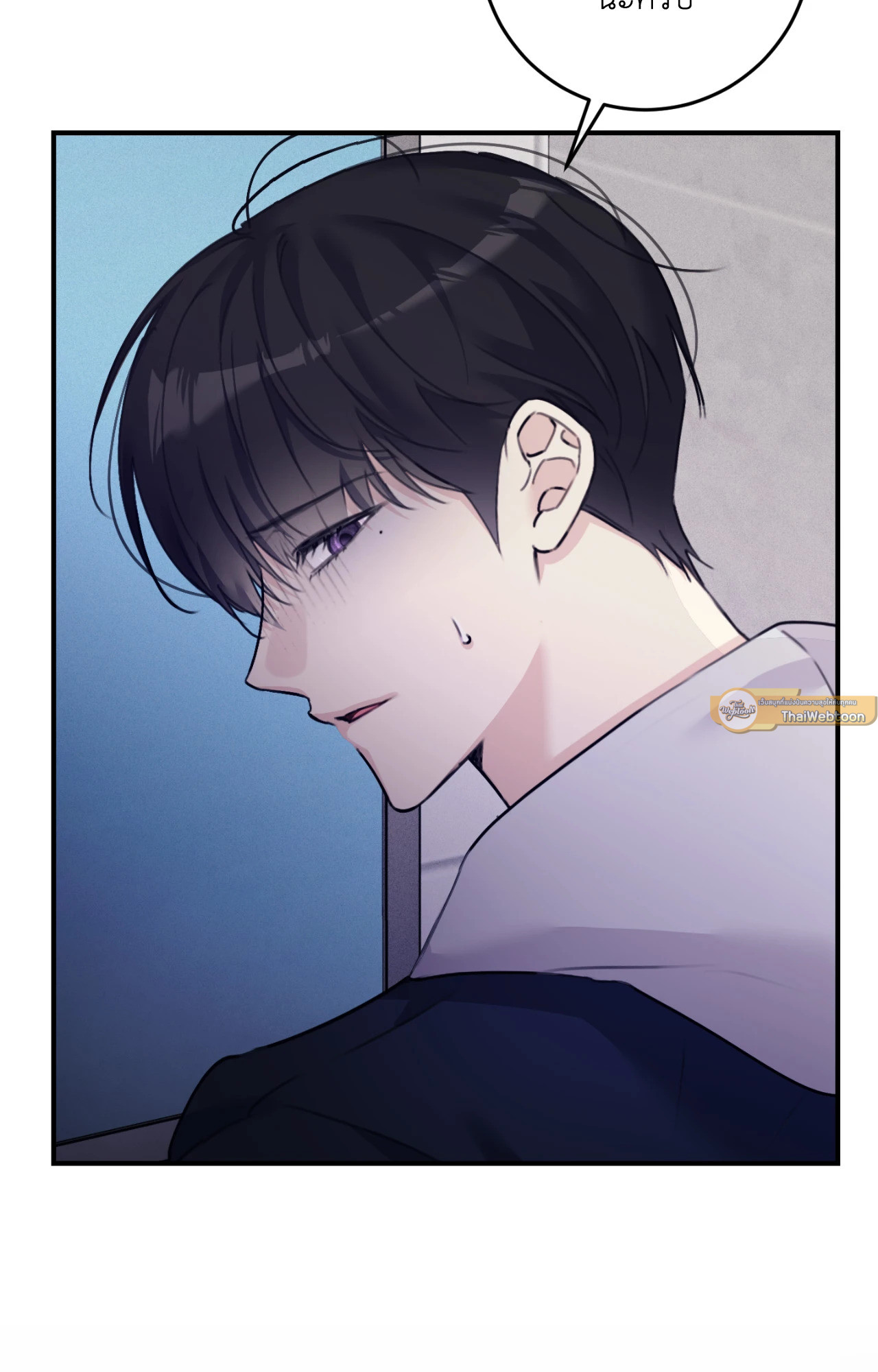 หน้า 43
