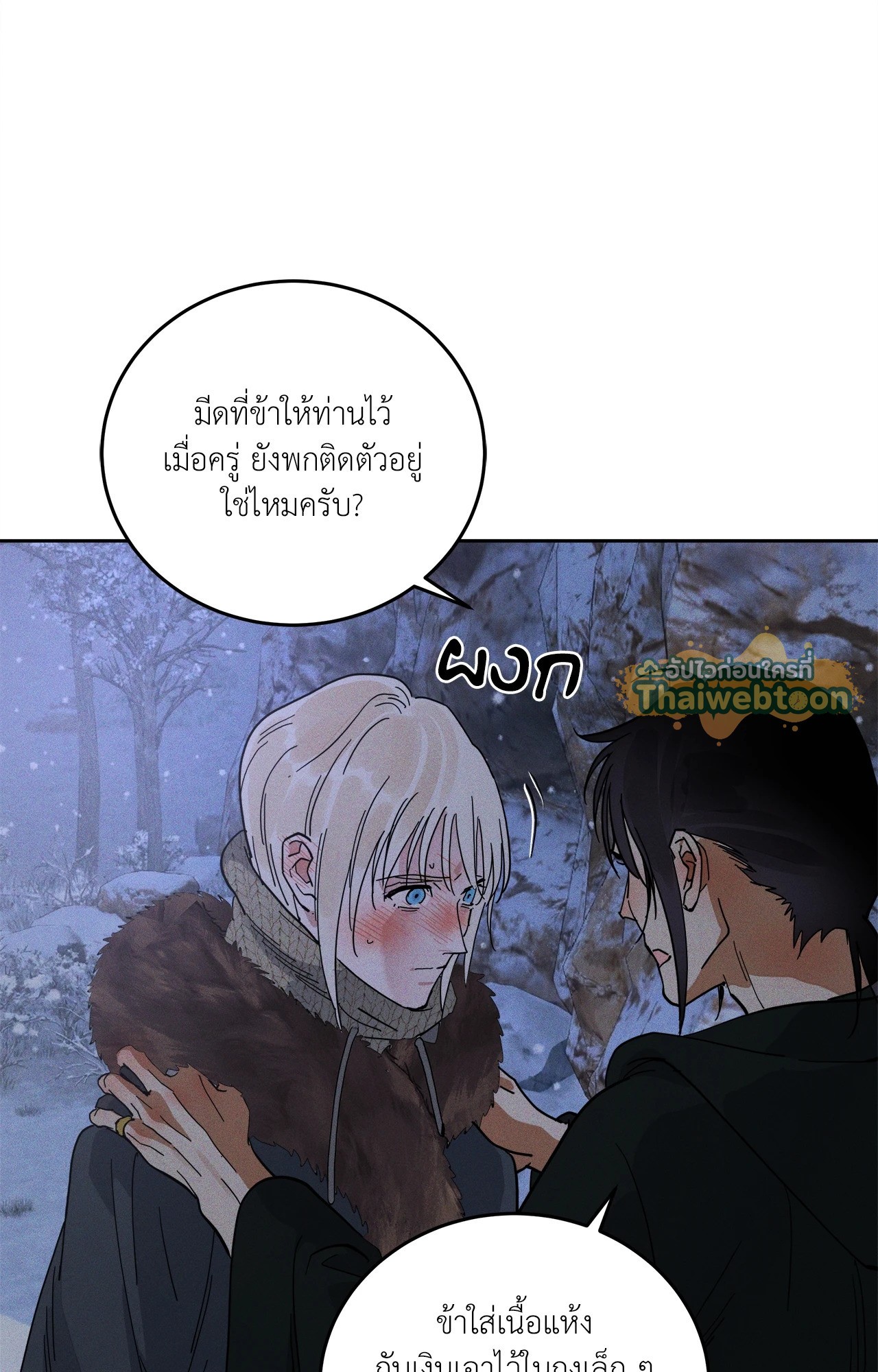 หน้า 61