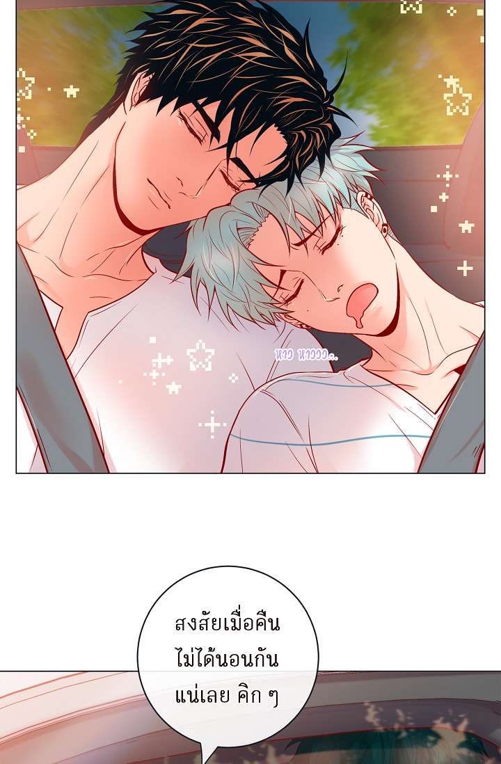 หน้า 41