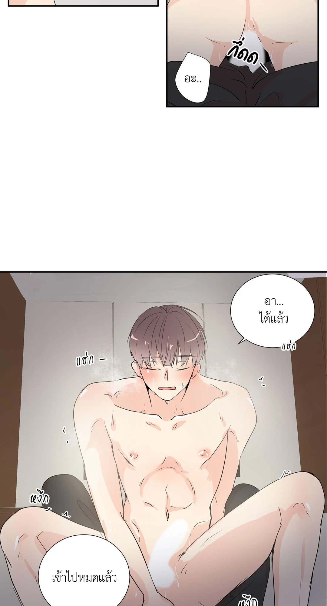 หน้า 41