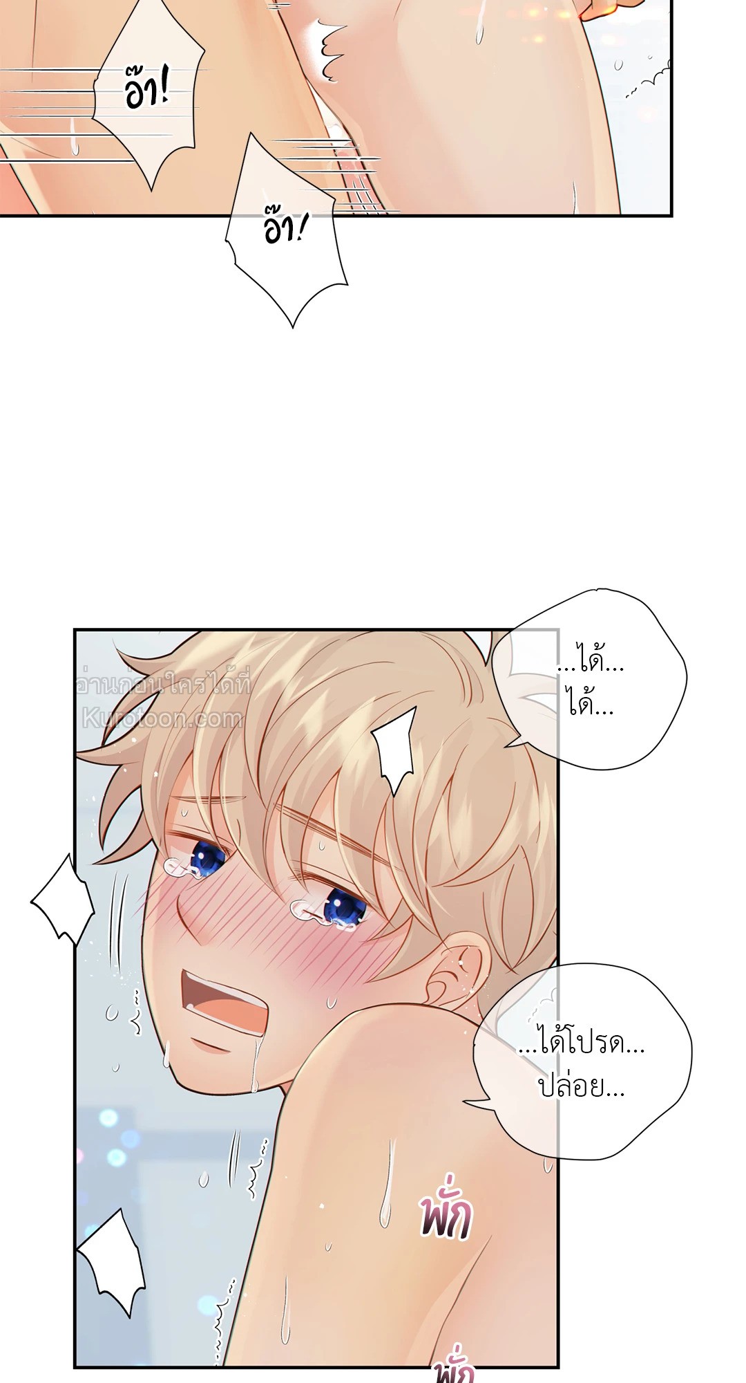 หน้า 41