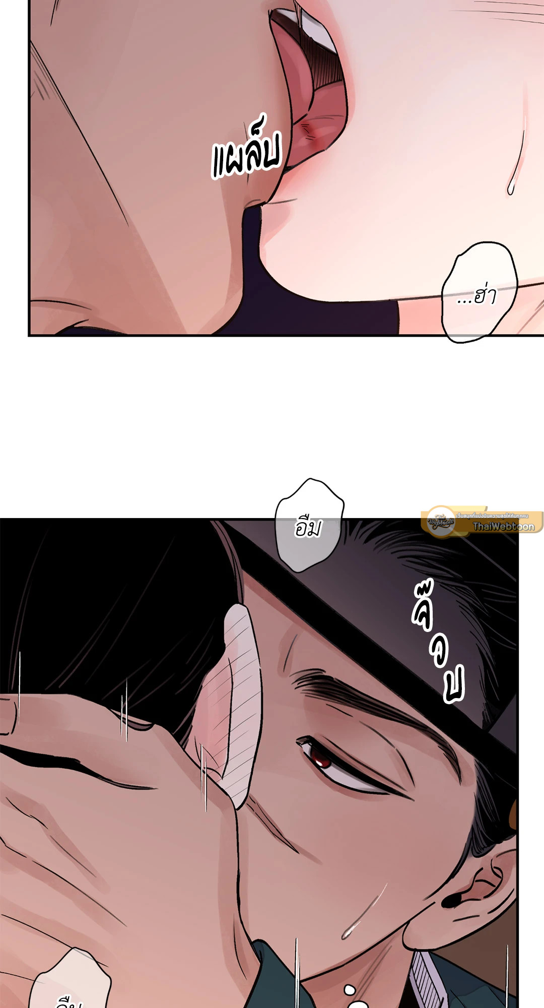หน้า 41