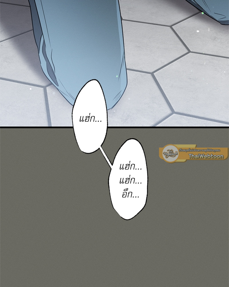 หน้า 101