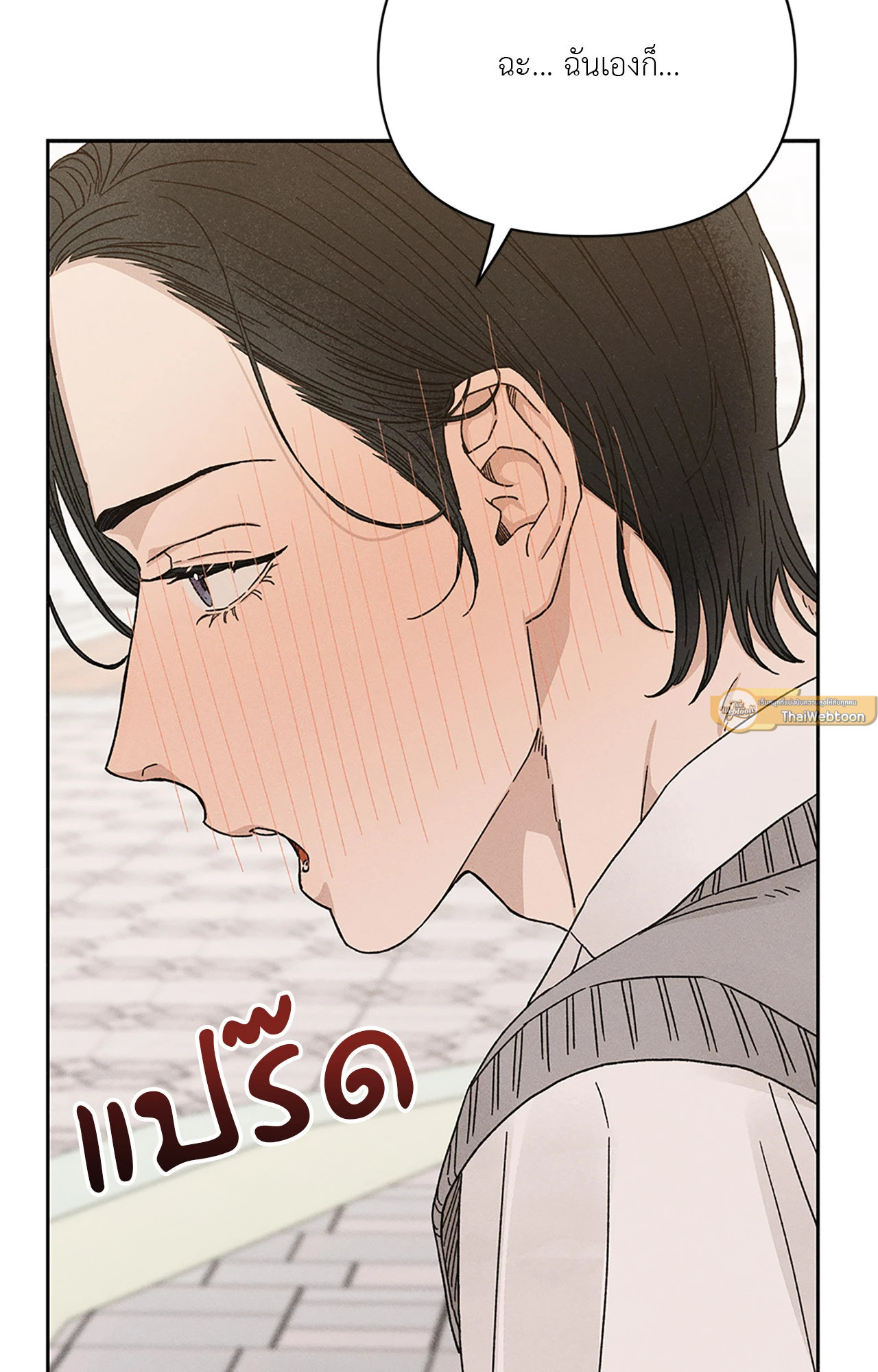 หน้า 102