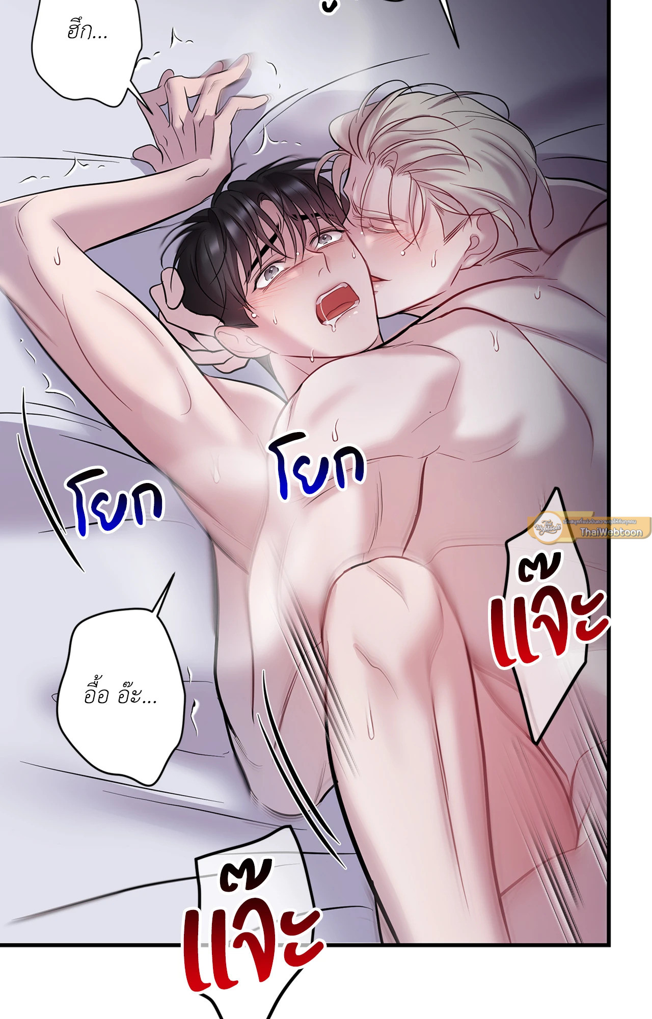 หน้า 81