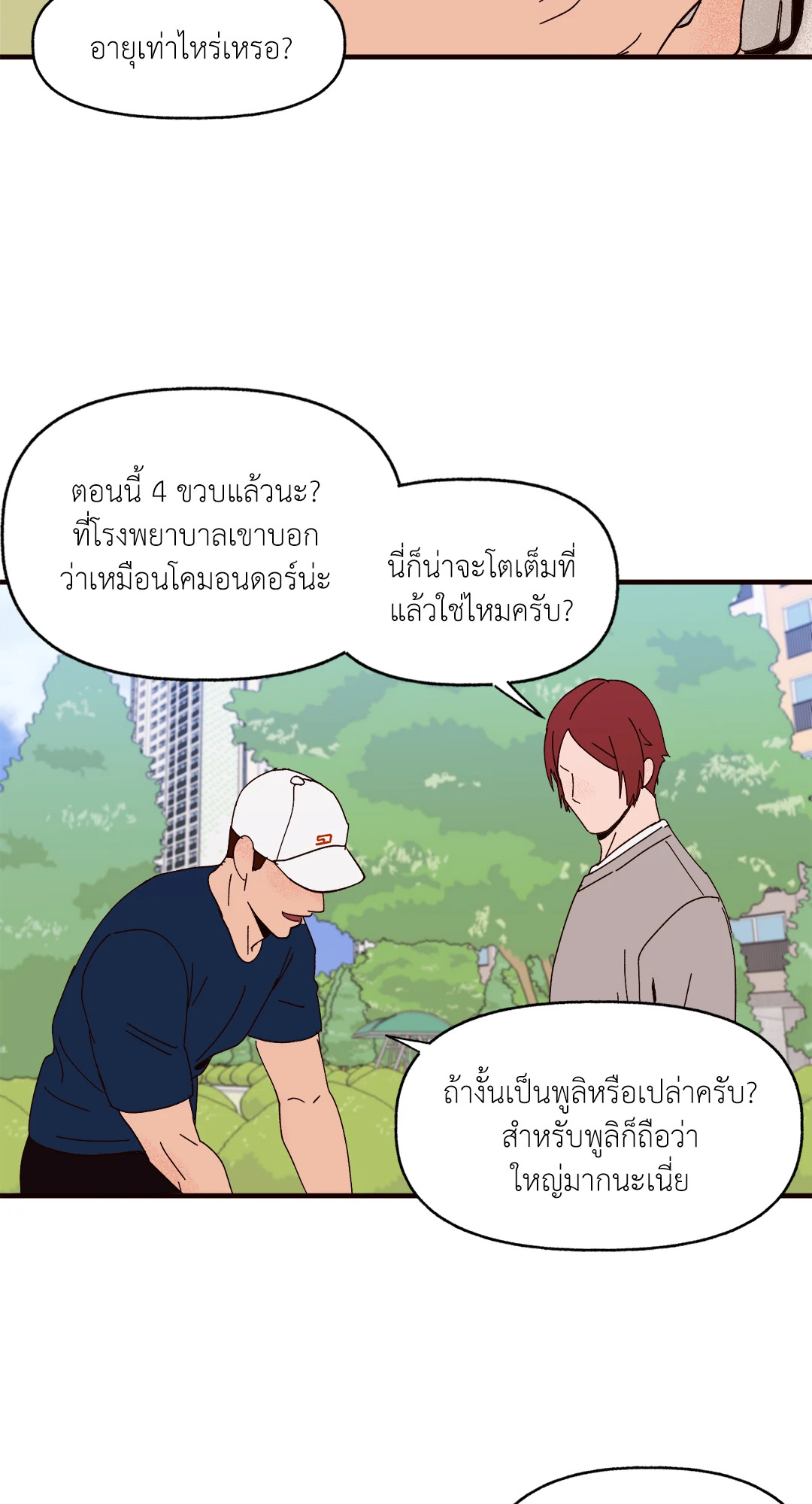 หน้า 31