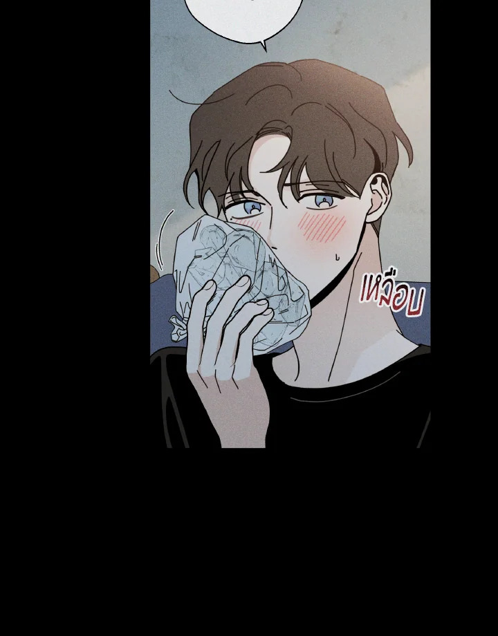 หน้า 95