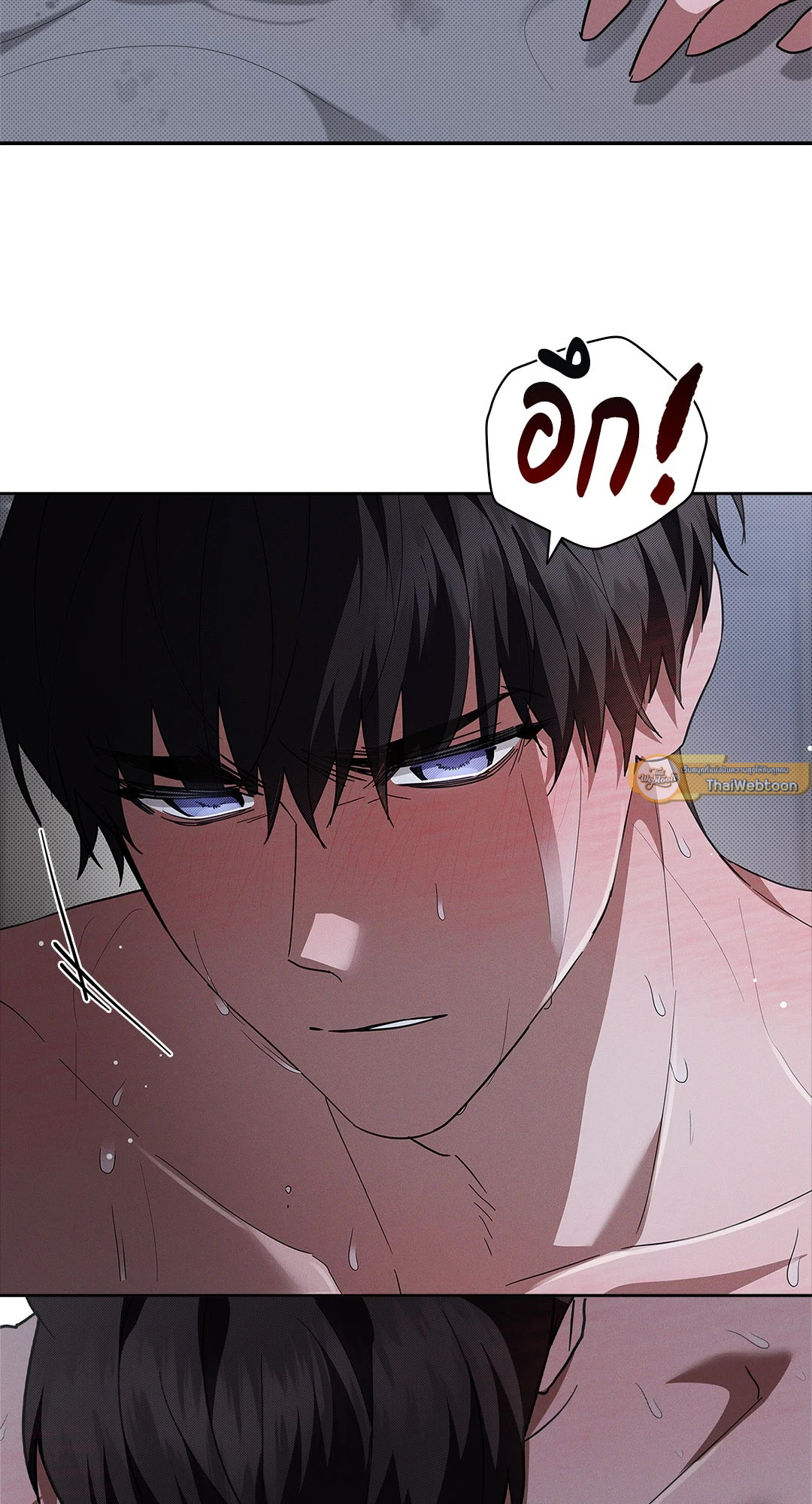 หน้า 81