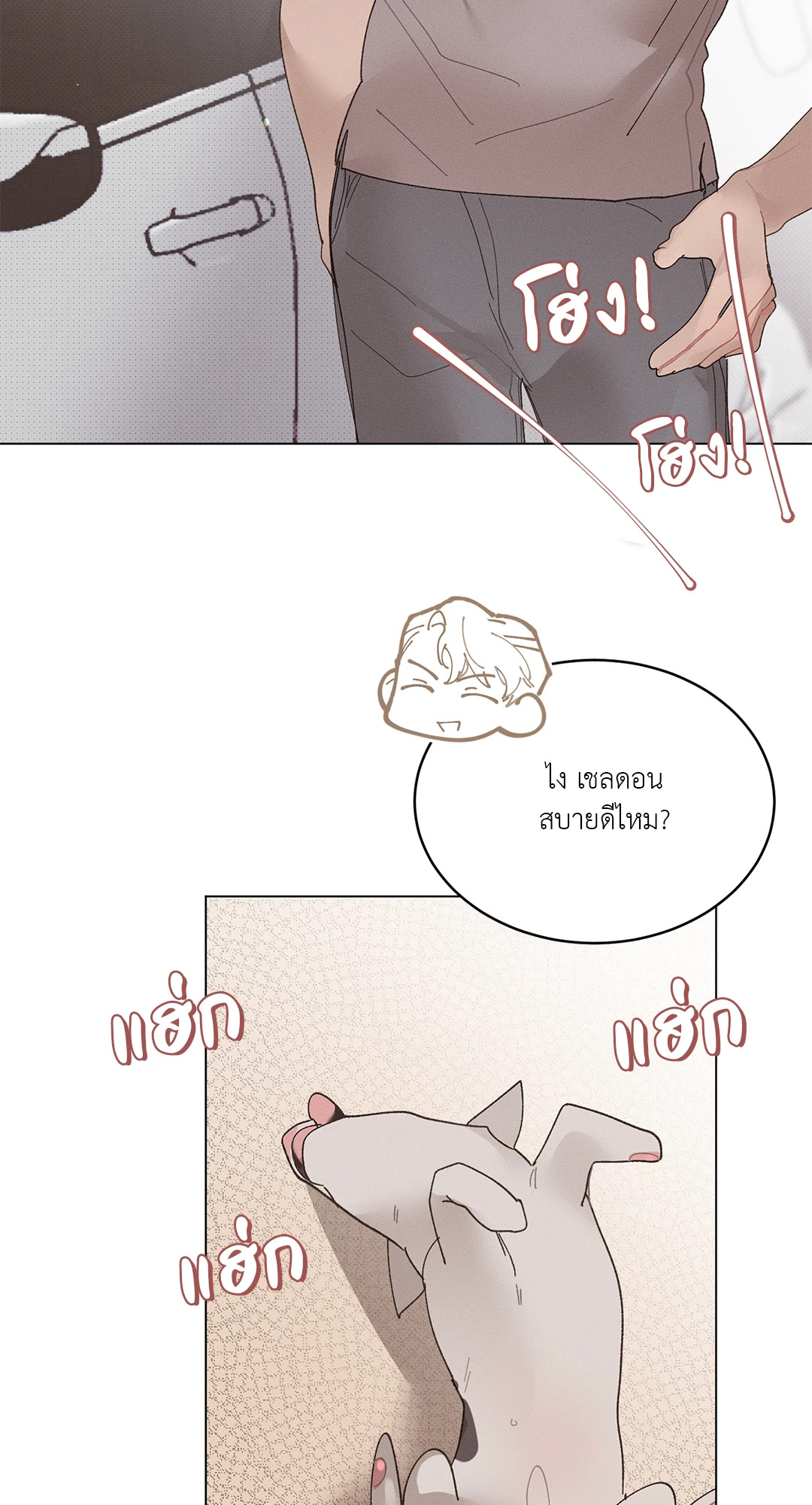 หน้า 24