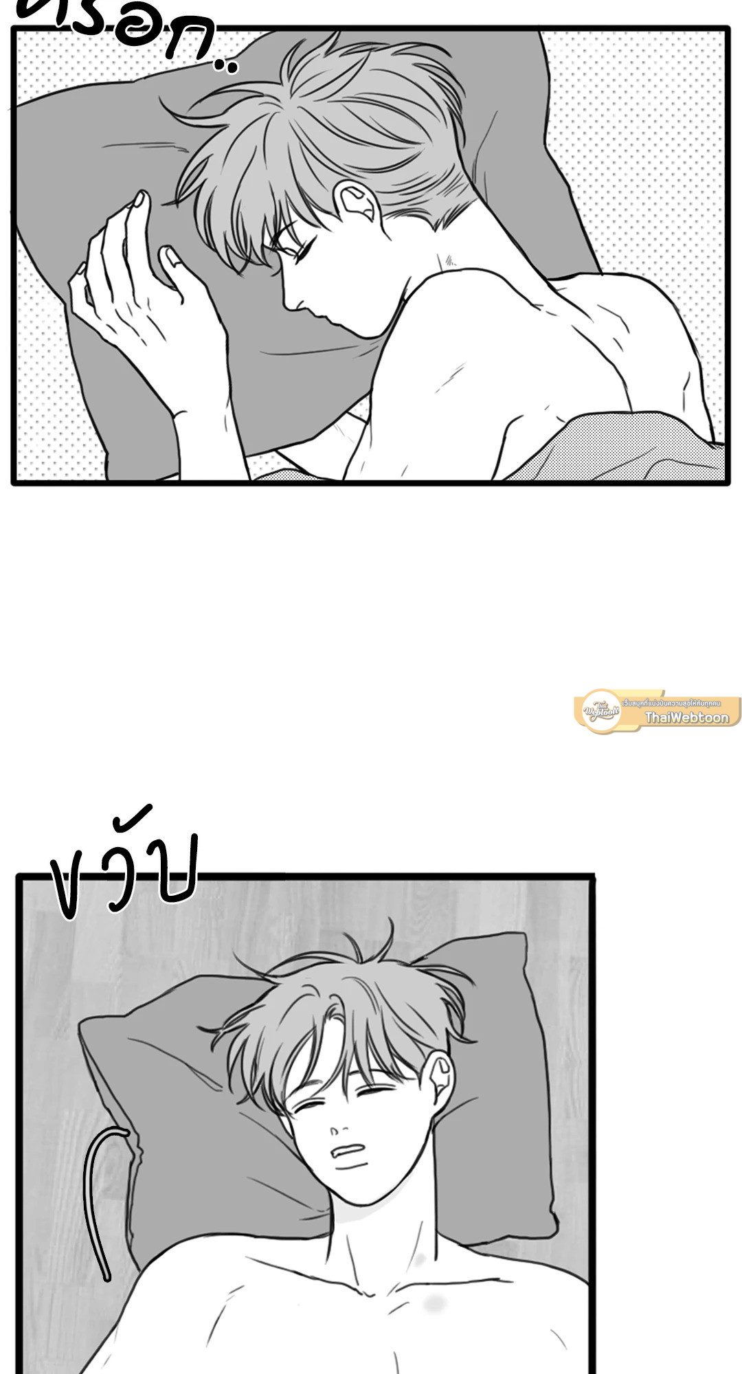 หน้า 29
