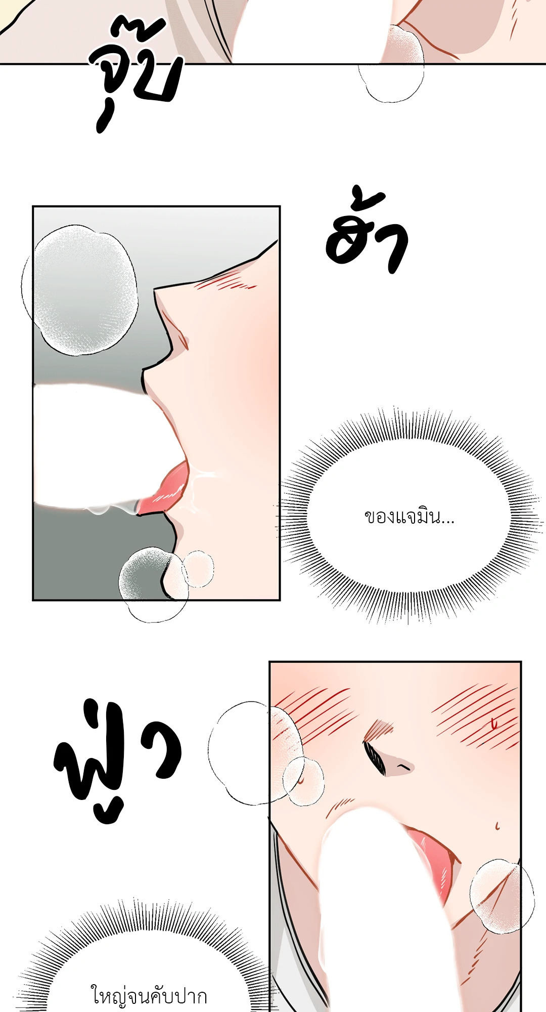 หน้า 43