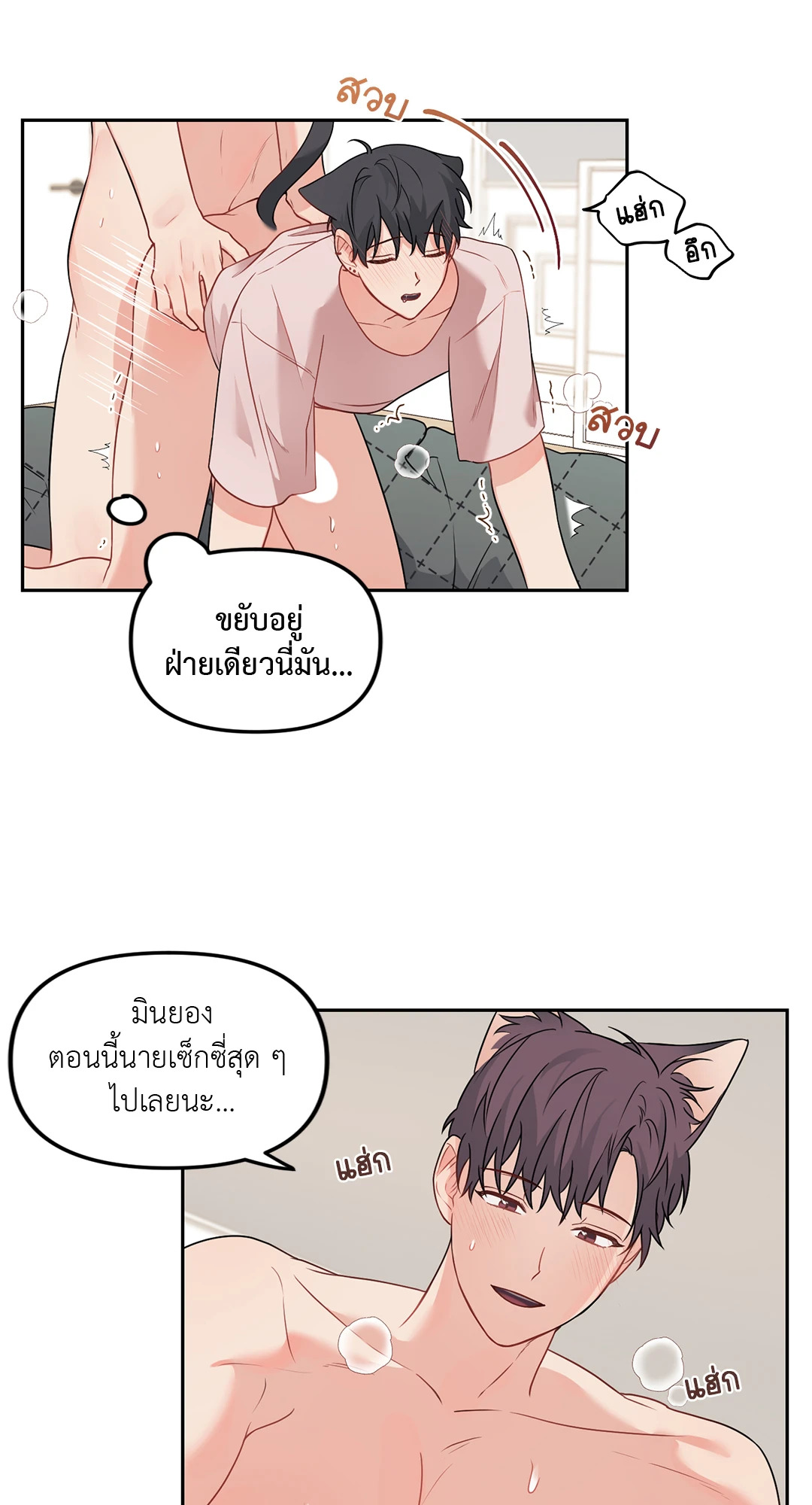หน้า 43