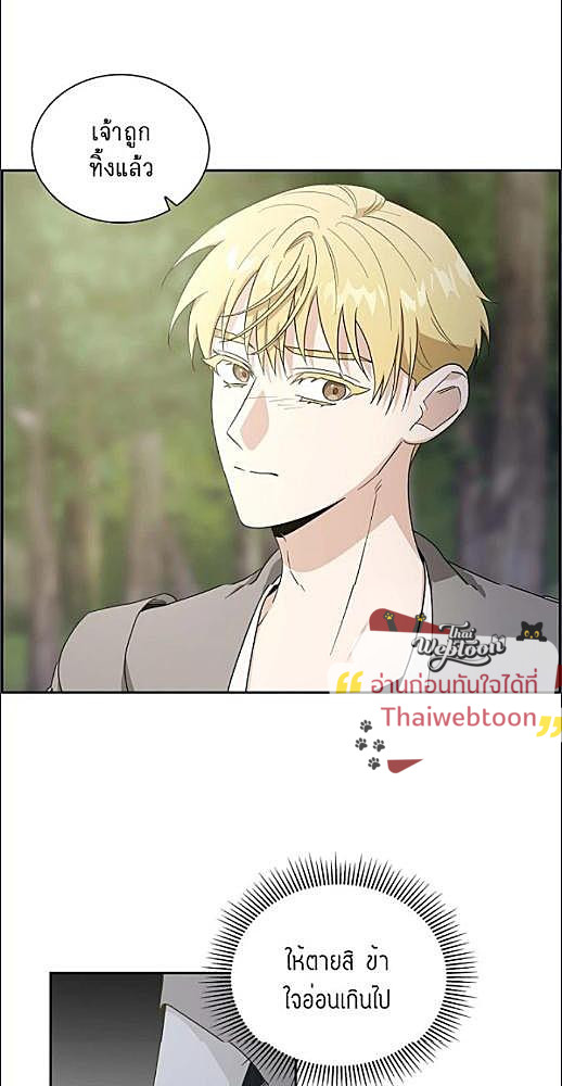 หน้า 243